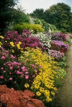 Waterperry Gardens Herbaceous Border, Oxfordshire