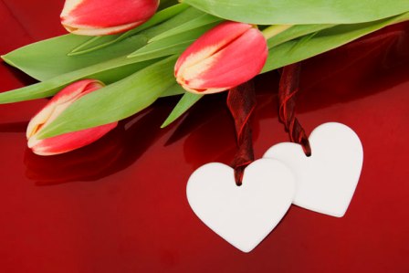 Valentine's Day Hearts & Tulips